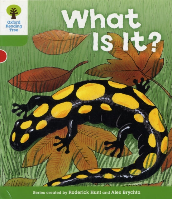 What Is It?