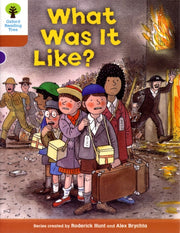 What Was It Like