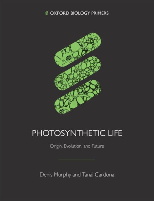 Photosynthesis