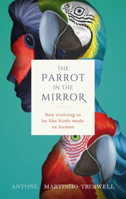 Parrot In The Mirror By Martinho-truswell, A