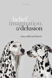 Belief Imagination And Delusion