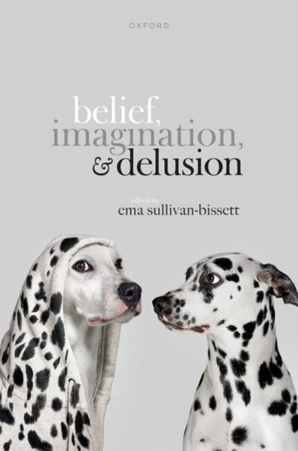 Belief Imagination And Delusion
