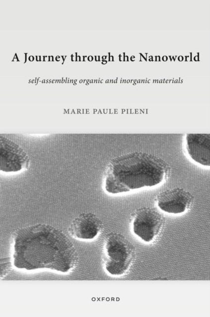 Journey Through The Nanoworld Selfassemb