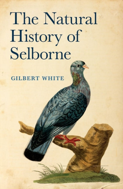 Natural History Of Selborne By White, Gilbert