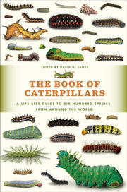 The Book Of Caterpillars A Life Size Gu By James David G