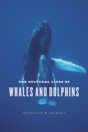 Cultural Lives Of Whales And Dolphi By Hal Whitehead