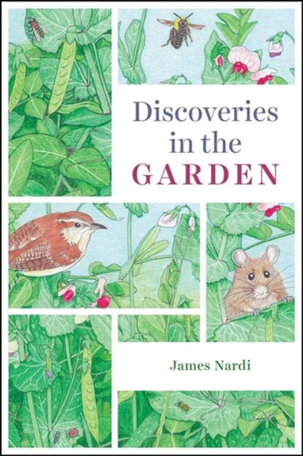 Discoveries In The Garden By Nardi, James