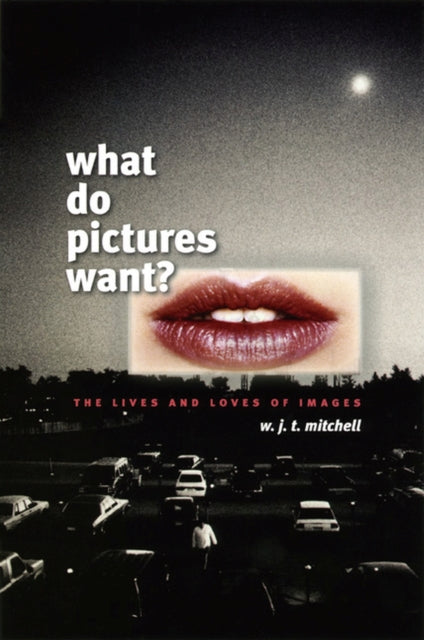 What Do Pictures Want The Live