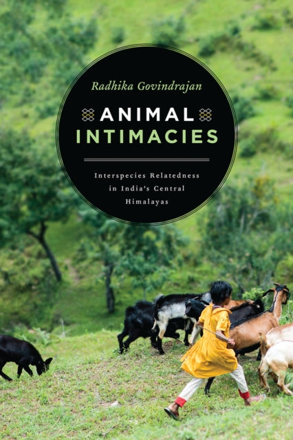 Animal Intimacies Interspecies Relatedne