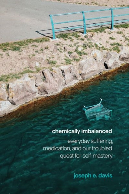 Chemically Imbalanced Everyday Sufferin By Davis, Joseph E.