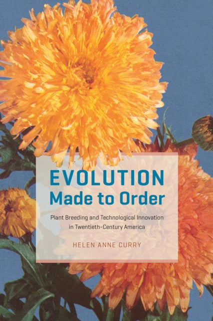 Evolution Made To Order