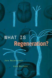 What Is Regeneration