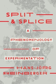 Split & Splice/phenomenology Experiment