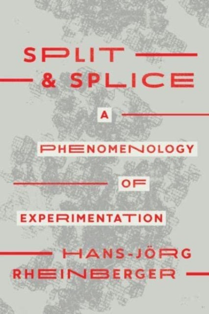 Split & Splice/phenomenology Experiment