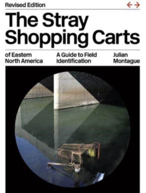 Stray Shopping Carts/eastern North Ameri