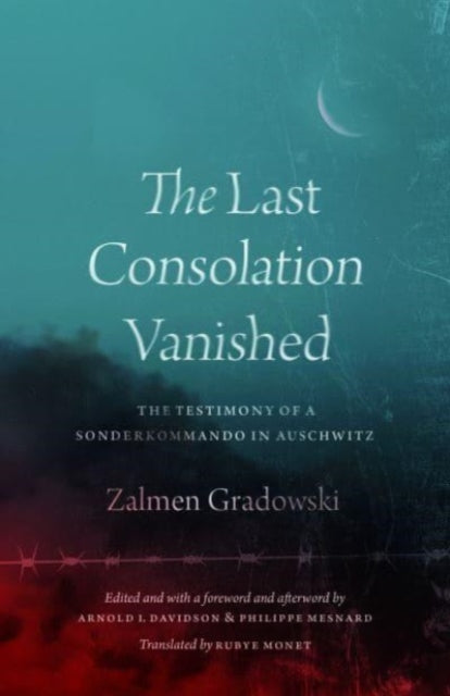 Last Consolation Vanished