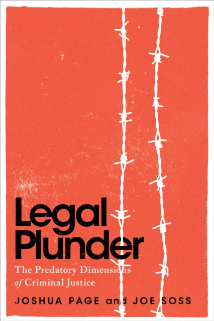 Legal Plunder The Predatory Dimensions