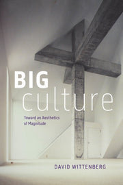 Big Culture Toward An Aesthetics Of Mag By Wittenberg, David