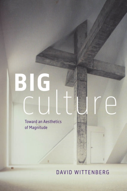 Big Culture Toward An Aesthetics Of Mag By Wittenberg, David
