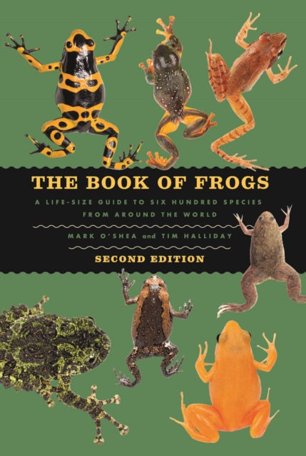 Book Of Frogs