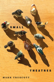 Small Theatres By Truscott, Mark