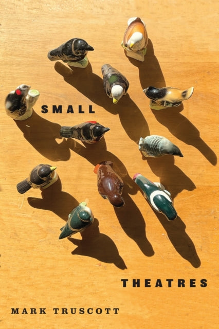 Small Theatres By Truscott, Mark