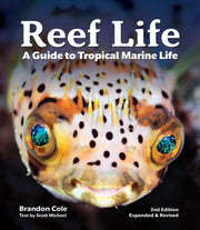 Reef Life