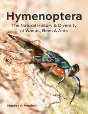 Hymenoptra