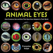 Animal Eyes