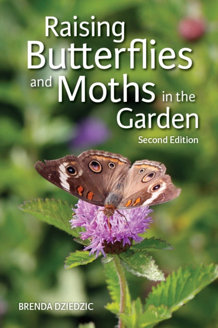 Raising Butterflies & Moths In The Garde By Dziedrick, Brenda