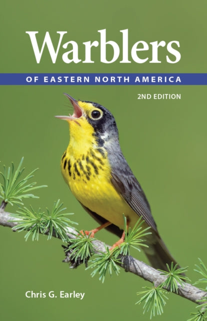 Warblers Of Eastern North America