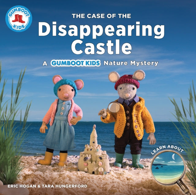 Case Of The Disappearing Castle