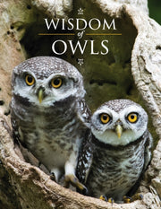 Wisdom Of Owls