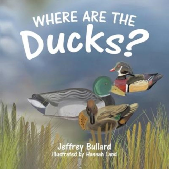 Where Are The Ducks
