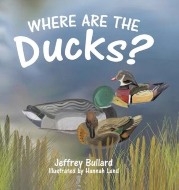 Where Are The Ducks