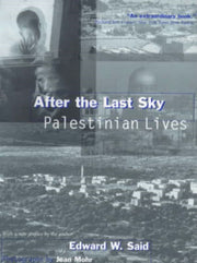 After The Last Sky