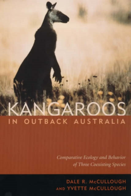 Kangaroos In Outback Australia Comparat