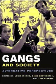 Gangs Society Alternative Perspectives