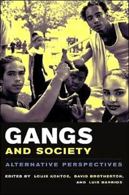 Gangs Society Alternative Perspectives