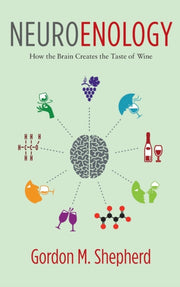Neuroenology How The Brain Creates The