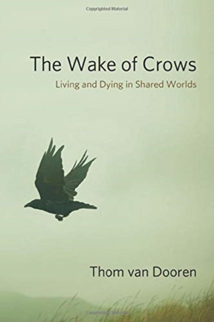 Wake Of Crows The