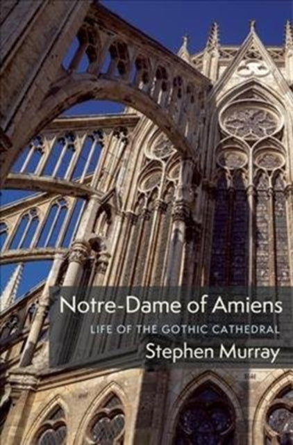 Notredame Of Amiens