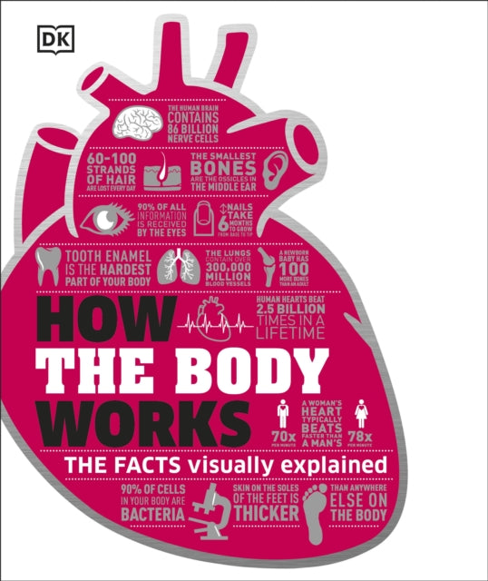 How The Body Works