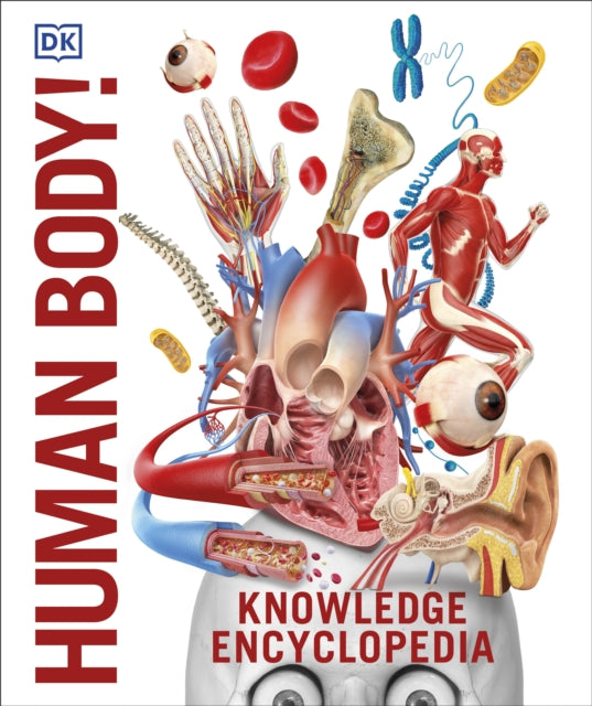 Knowledge Encyclopedia Human Body