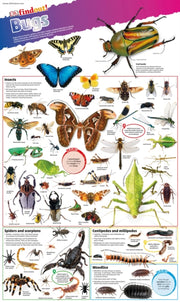 Bugs Poster By Bugs Poster