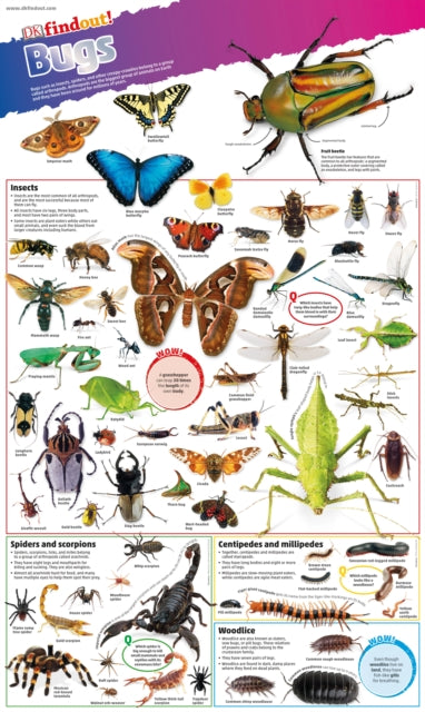 Bugs Poster By Bugs Poster