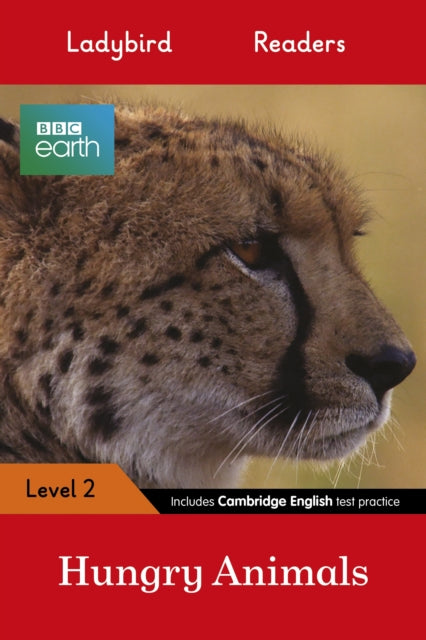 Bbc Earth Finding Food