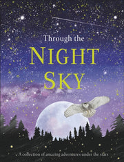Through The Night Sky