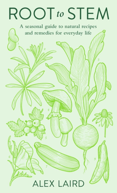 Root & Stem