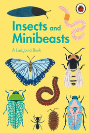 Insects & Minibeasts